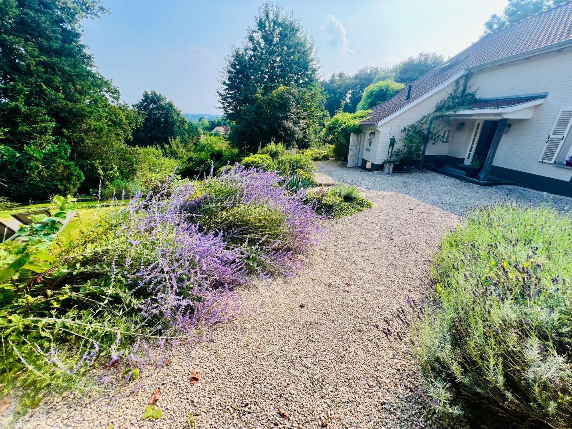 Bed and Breakfast Bois De Hal à Braine-lʼAlleud Extérieur photo